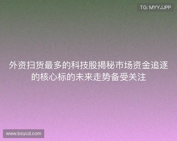 外资扫货最多的科技股揭秘市场资金追逐的核心标的未来走势备受关注